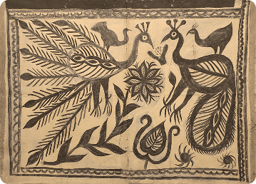 Peacocks